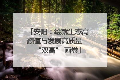 安阳：绘就生态高颜值与发展高质量 “双高” 画卷