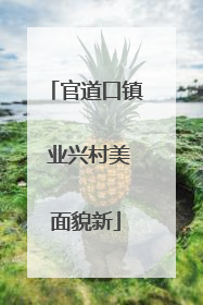 官道口镇 业兴村美面貌新