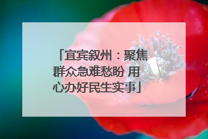 宜宾叙州：聚焦群众急难愁盼 用心办好民生实事