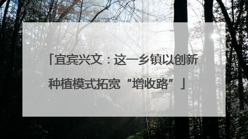 宜宾兴文：这一乡镇以创新种植模式拓宽“增收路”