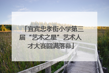 宜宾忠孝街小学第三届“艺术之星”艺术人才大赛圆满落幕