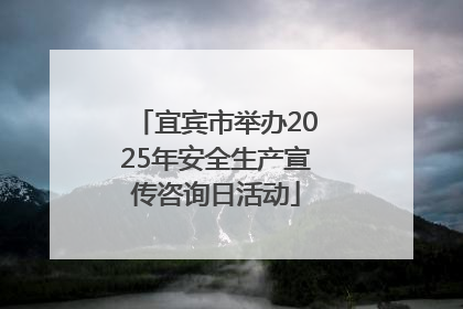 宜宾市举办2025年安全生产宣传咨询日活动