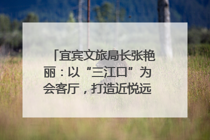 宜宾文旅局长张艳丽：以“三江口”为会客厅，打造近悦远来的国际旅游城市｜文旅局长说