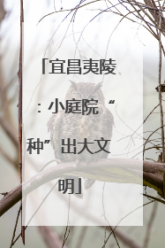 宜昌夷陵：小庭院“种”出大文明