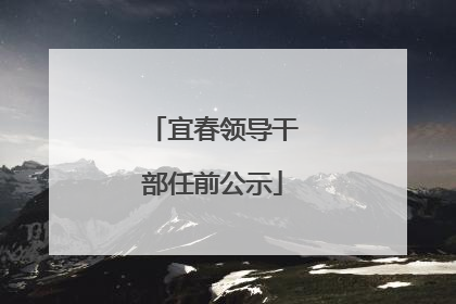 宜春领导干部任前公示