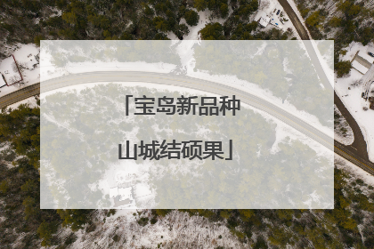 宝岛新品种 山城结硕果
