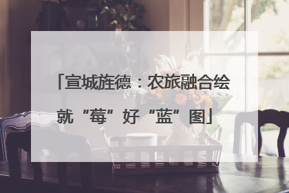 宣城旌德：农旅融合绘就“莓”好“蓝”图