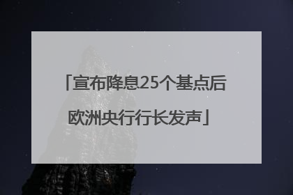 宣布降息25个基点后 欧洲央行行长发声