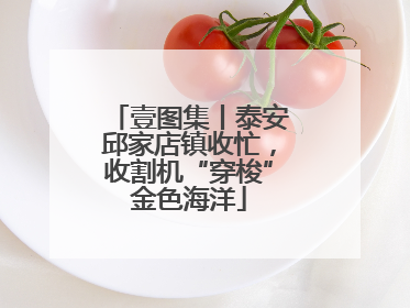 壹图集丨泰安邱家店镇收忙，收割机“穿梭”金色海洋