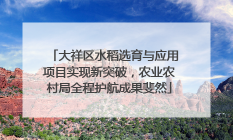大祥区水稻选育与应用项目实现新突破，农业农村局全程护航成果斐然