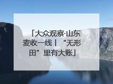 大众观察·山东麦收一线丨“无形田”里有大账