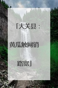 大关县：黄瓜触网销路宽