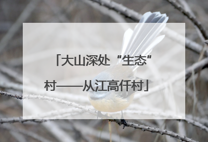 大山深处“生态”村——从江高仟村
