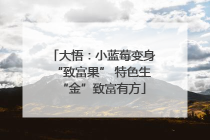 大悟：小蓝莓变身“致富果” 特色生“金”致富有方