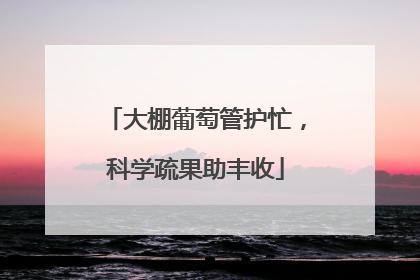 大棚葡萄管护忙，科学疏果助丰收