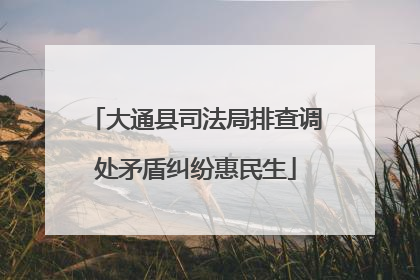 大通县司法局排查调处矛盾纠纷惠民生