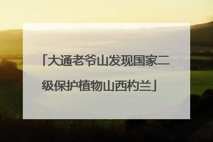 大通老爷山发现国家二级保护植物山西杓兰