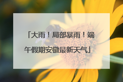 大雨！局部暴雨！端午假期安徽最新天气
