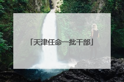 天津任命一批干部