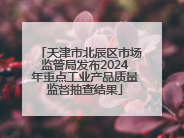 天津市北辰区市场监管局发布2024年重点工业产品质量监督抽查结果