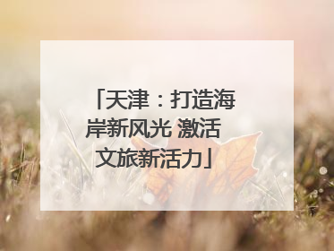 天津：打造海岸新风光 激活文旅新活力