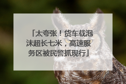 太夸张！货车载泡沫超长七米，高速服务区被民警抓现行
