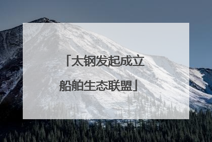 太钢发起成立船舶生态联盟