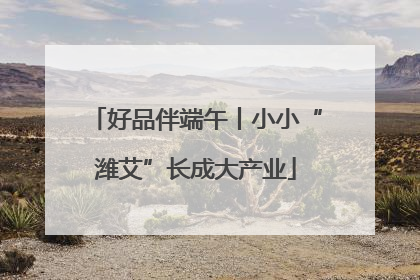 好品伴端午丨小小“潍艾”长成大产业