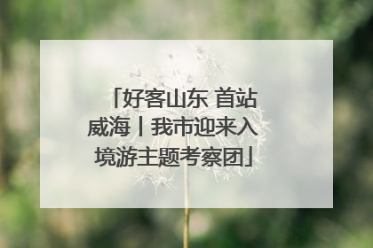 好客山东 首站威海丨我市迎来入境游主题考察团