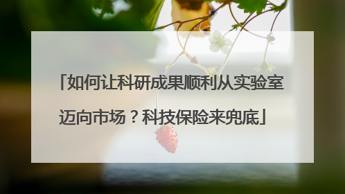 如何让科研成果顺利从实验室迈向市场？科技保险来兜底