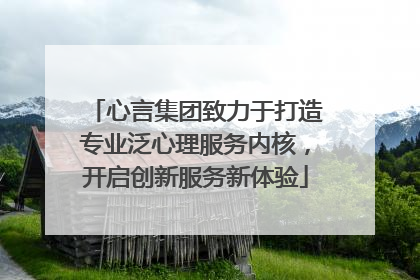心言集团致力于打造专业泛心理服务内核，开启创新服务新体验