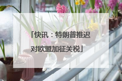 快讯：特朗普推迟对欧盟加征关税