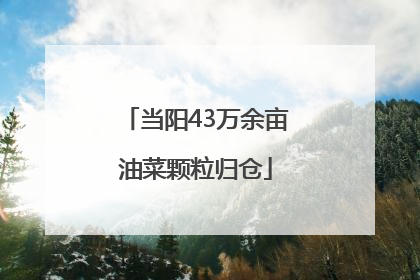 当阳43万余亩油菜颗粒归仓