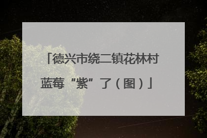 德兴市绕二镇花林村蓝莓“紫”了（图）