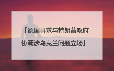 德国寻求与特朗普政府协调涉乌克兰问题立场