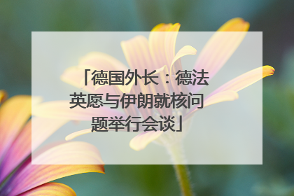德国外长：德法英愿与伊朗就核问题举行会谈