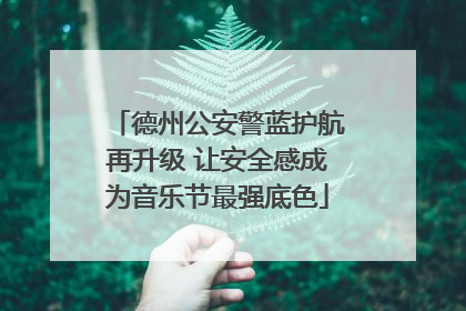 德州公安警蓝护航再升级 让安全感成为音乐节最强底色