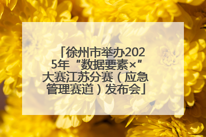 徐州市举办2025年“数据要素×”大赛江苏分赛（应急管理赛道）发布会