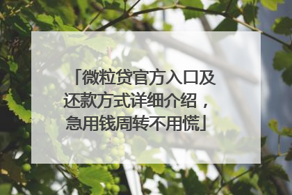 微粒贷官方入口及还款方式详细介绍，急用钱周转不用慌