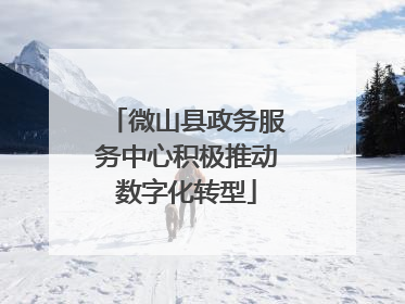 微山县政务服务中心积极推动数字化转型