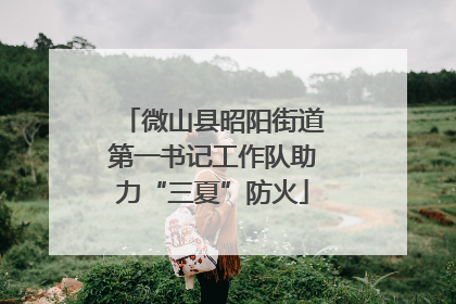 微山县昭阳街道第一书记工作队助力“三夏”防火