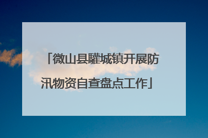 微山县驩城镇开展防汛物资自查盘点工作
