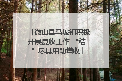 微山县马坡镇积极开展夏收工作 “秸”尽其用助增收