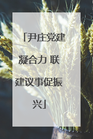 尹庄党建凝合力 联建议事促振兴