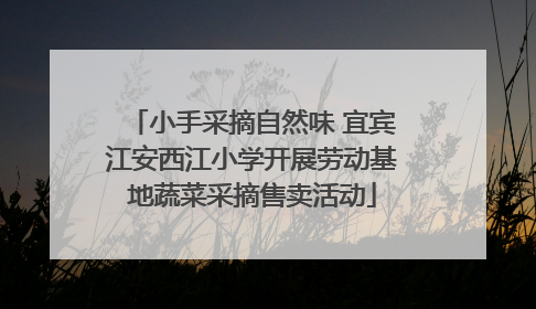 小手采摘自然味 宜宾江安西江小学开展劳动基地蔬菜采摘售卖活动
