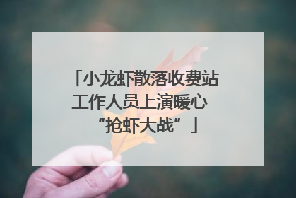小龙虾散落收费站 工作人员上演暖心“抢虾大战”