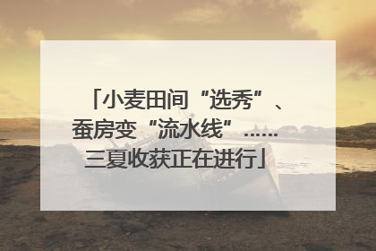 小麦田间“选秀”、蚕房变“流水线”……三夏收获正在进行