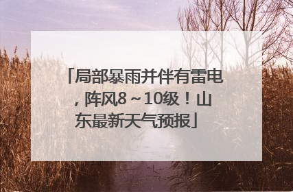 局部暴雨并伴有雷电，阵风8～10级！山东最新天气预报