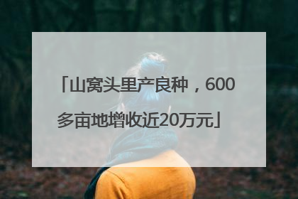山窝头里产良种，600多亩地增收近20万元