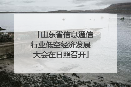 山东省信息通信行业低空经济发展大会在日照召开